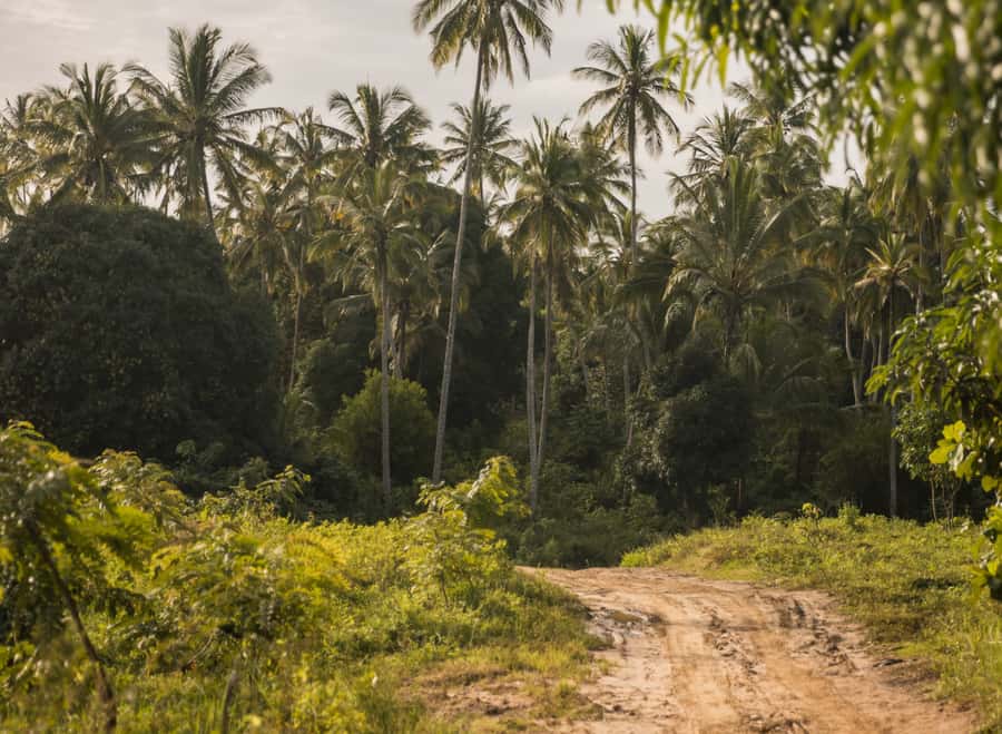 Zanzibar: Quad Off-Road Adventure | Kiwengwa - Photo stops and refreshments