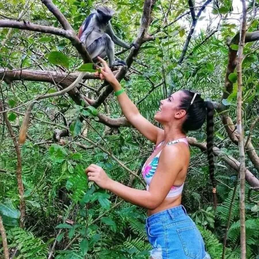Zanzibar: Red Colobus Monkeys in Jozani Forest Guided Tour - From your hotel lobby to southern Zanzibar