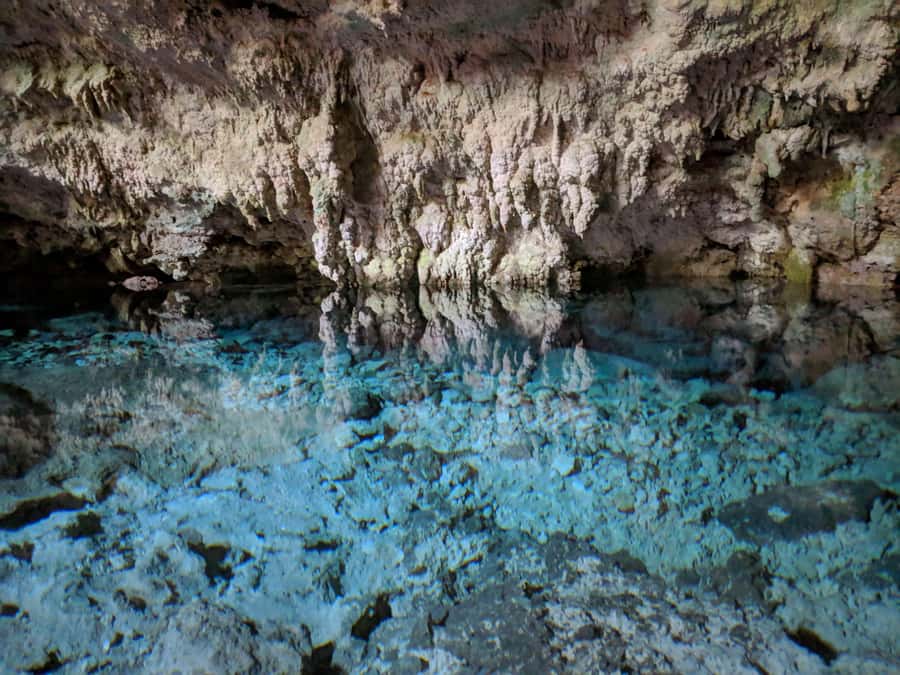Zanzibar: Rock Restaurant and Cave Tour Visit - Should you book the Rock and Kuza Cave tour?