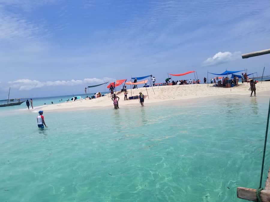 Zanzibar: Safari Blue Day Tour Snorkeling With BBQ Lunch - Snorkeling among fish and coral