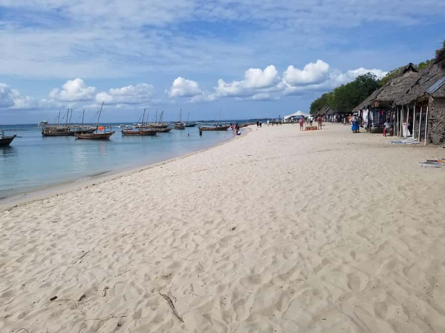 Zanzibar: Safari Blue Day Tour Snorkeling With BBQ Lunch - Who should book this Zanzibar day trip?