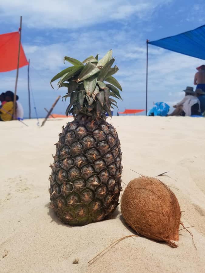 Zanzibar: Safari Blue Day Tour Snorkeling With BBQ Lunch - What to pack for a smoother day
