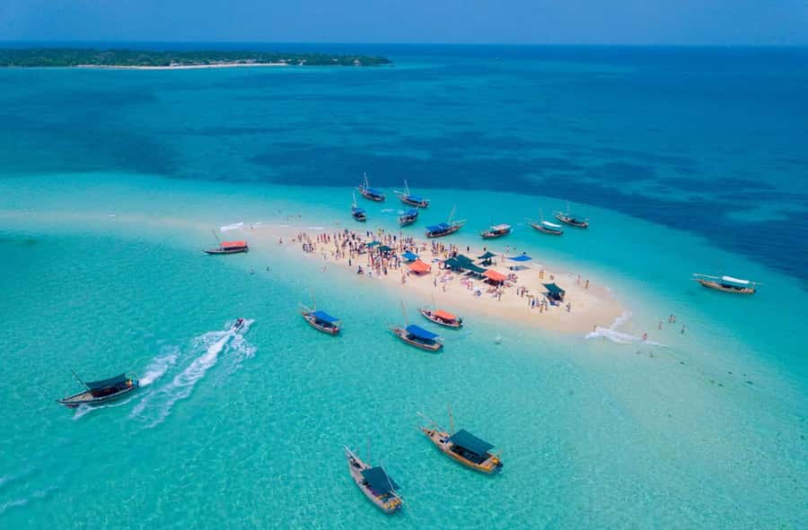Zanzibar: Safari Blue Day trip with Snorkeling and Lunch - Key points to know before booking