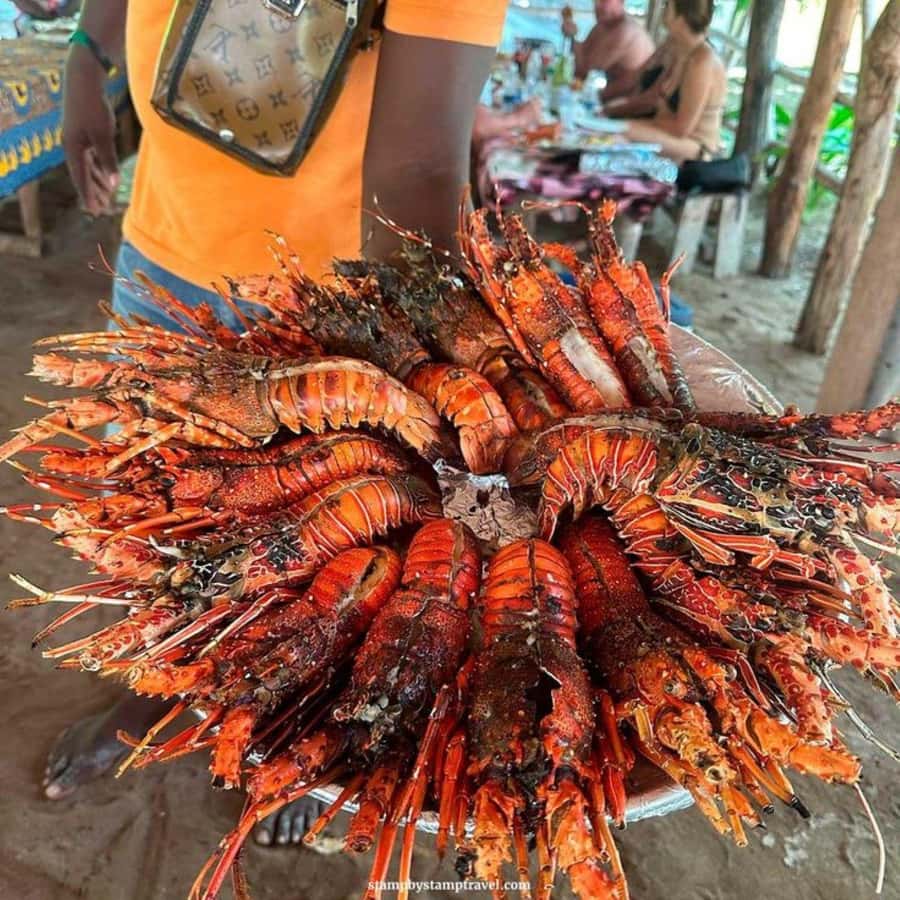 Zanzibar: Safari Blue Full-Day Exploration - Key points to know before booking