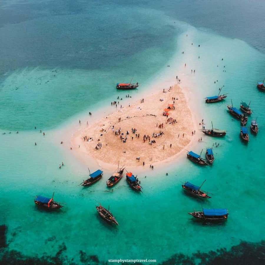 Zanzibar: Safari Blue Full-Day Exploration - The afternoon: rest, browse, and return