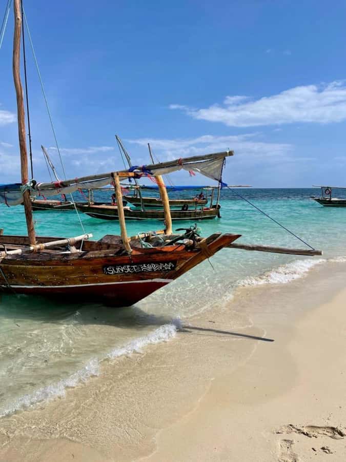 Zanzibar: Safari Blue Full-Day Exploration - Who will enjoy this day most