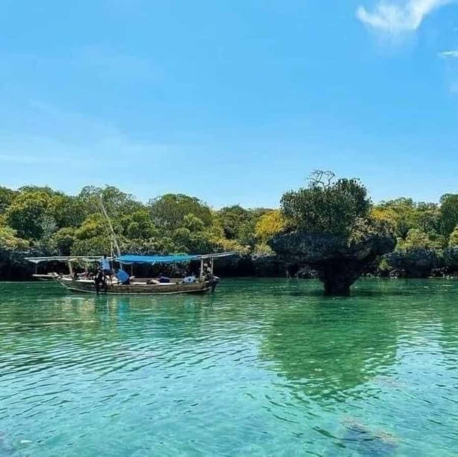 Zanzibar: Safari Blue Full-Day Exploration - Should you book Safari Blue from Fumba?