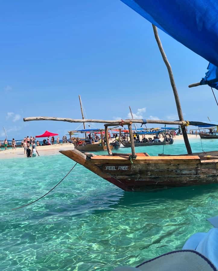 Zanzibar: Safari Blue Full-Day Exploration - Sandbank time for swimming and snorkeling