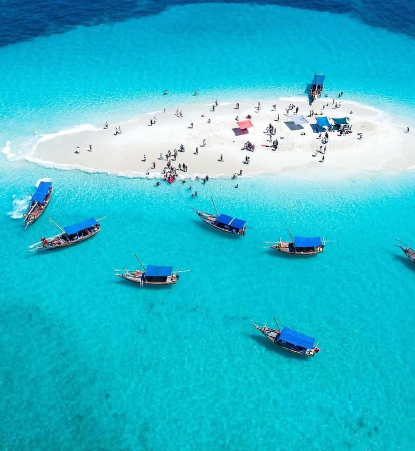 Zanzibar: Safari Blue Lagoon Trip with Snorkeling and Lunch - Key points before you book