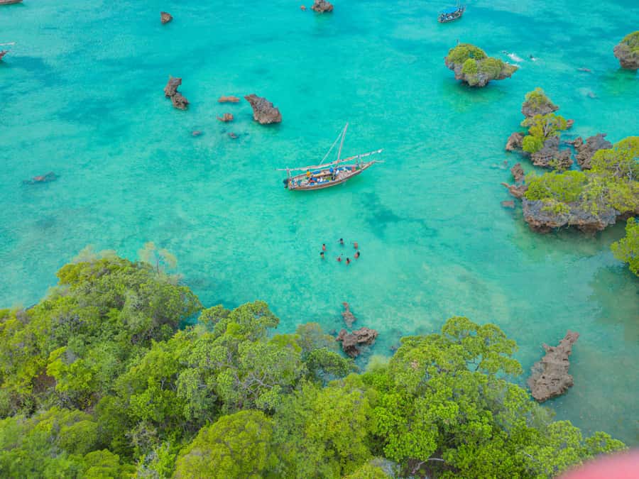 Zanzibar: Safari Blue Lagoon Trip with Snorkeling and Lunch - Who will enjoy this most