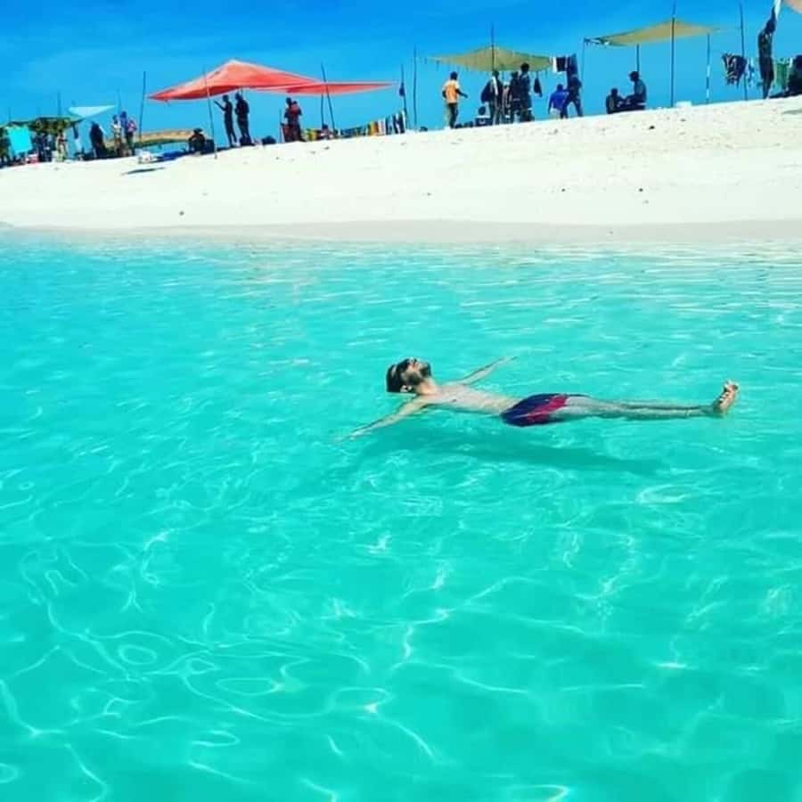 Zanzibar: Safari Blue Snorkeling and Sandbank - Key points to know before you book