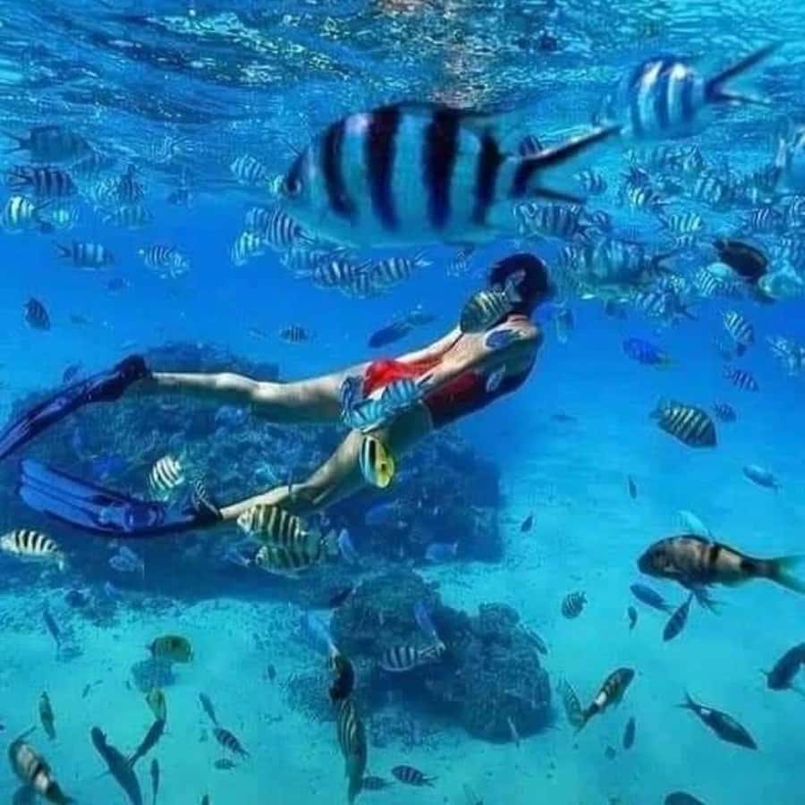Zanzibar: Safari blue tour - Kwale Island, lunch, and time away from the water