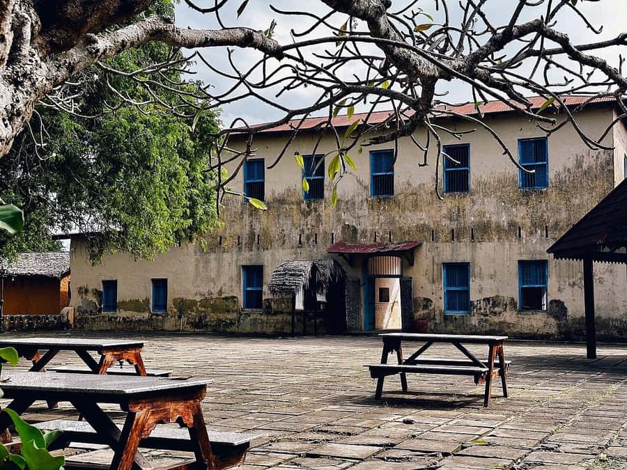 ZANZIBAR: Salaam Cave, Prison Island & Jozani Forest Tour - Guides, languages, and the private-group advantage