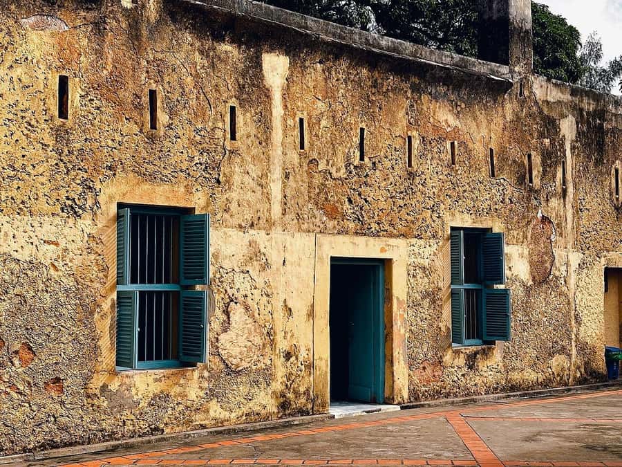 ZANZIBAR: Salaam Cave, Prison Island & Jozani Forest Tour - What the day feels like in practice
