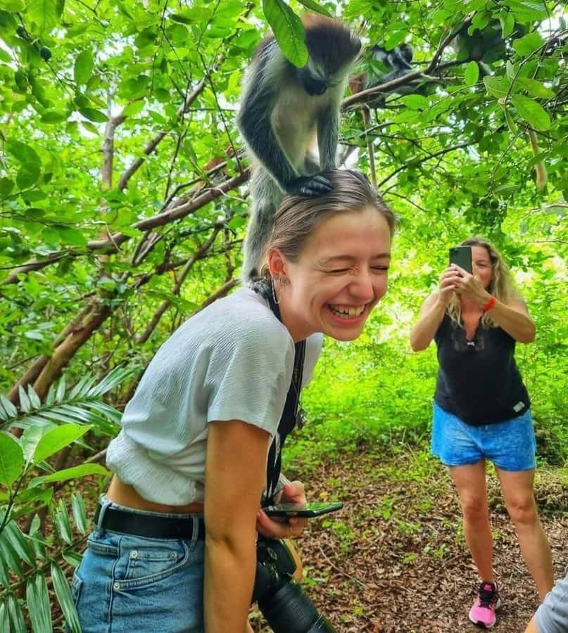 ZANZIBAR: Salaam Cave, Prison Island & Jozani Forest Tour - Salaam Cave and the rescued turtles
