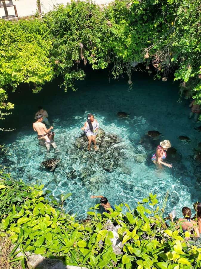 ZANZIBAR: Salaam Cave Swimming with Sea Turtles at Kizimkazi - Key points to know before booking