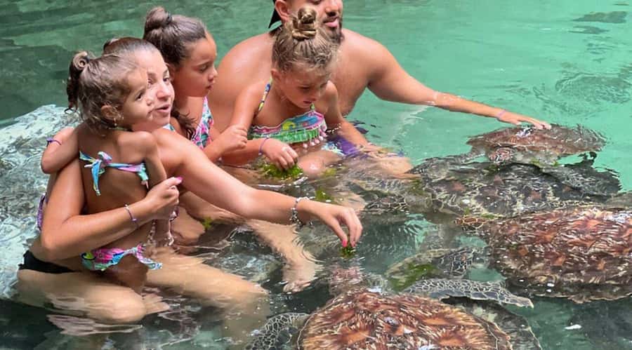 ZANZIBAR: Salaam Cave Swimming with Sea Turtles at Kizimkazi - Feeding sea turtles the right way