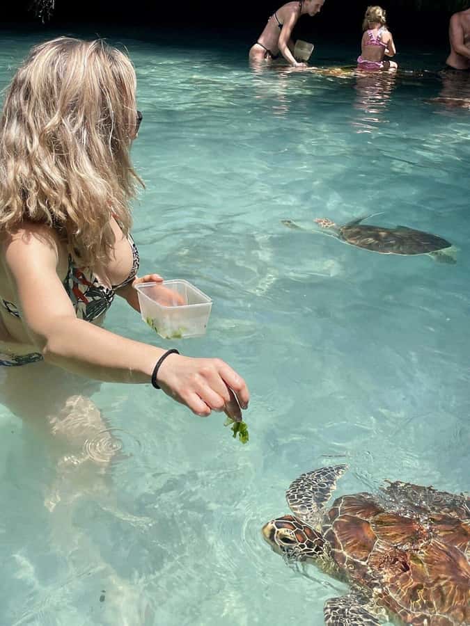 ZANZIBAR: Salaam Cave Swimming with Sea Turtles at Kizimkazi - What the service record tells you