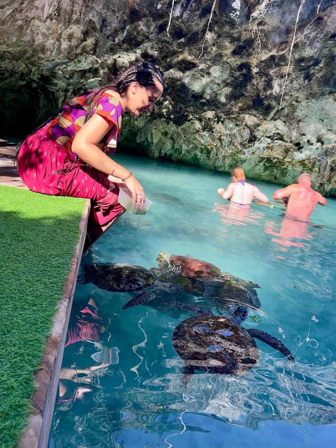 Zanzibar: Sea Turtle Swim at Kizimkazi Salaam Cave Tour - Conservation value and questions to ask