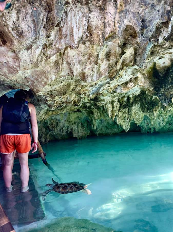 Zanzibar: Sea Turtle Swim at Kizimkazi Salaam Cave Tour - Is $48 a fair price?