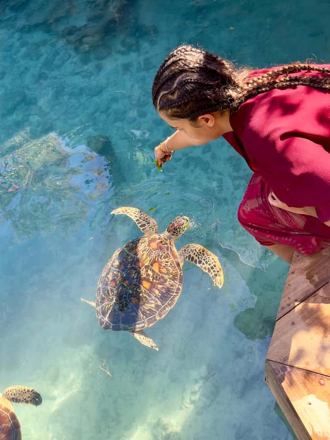 Zanzibar: Sea Turtle Swim at Kizimkazi Salaam Cave Tour - The one-hour ride from your hotel