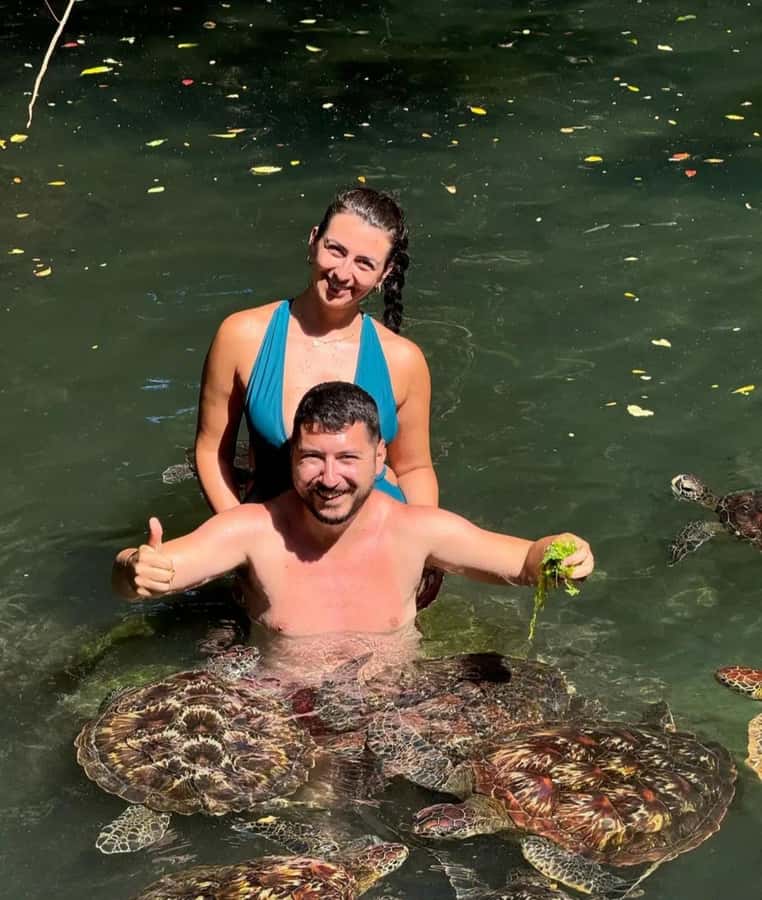 ZANZIBAR: Sea Turtle Swimming & Feeding Experience in NUNGWI - Why the conservation story adds value