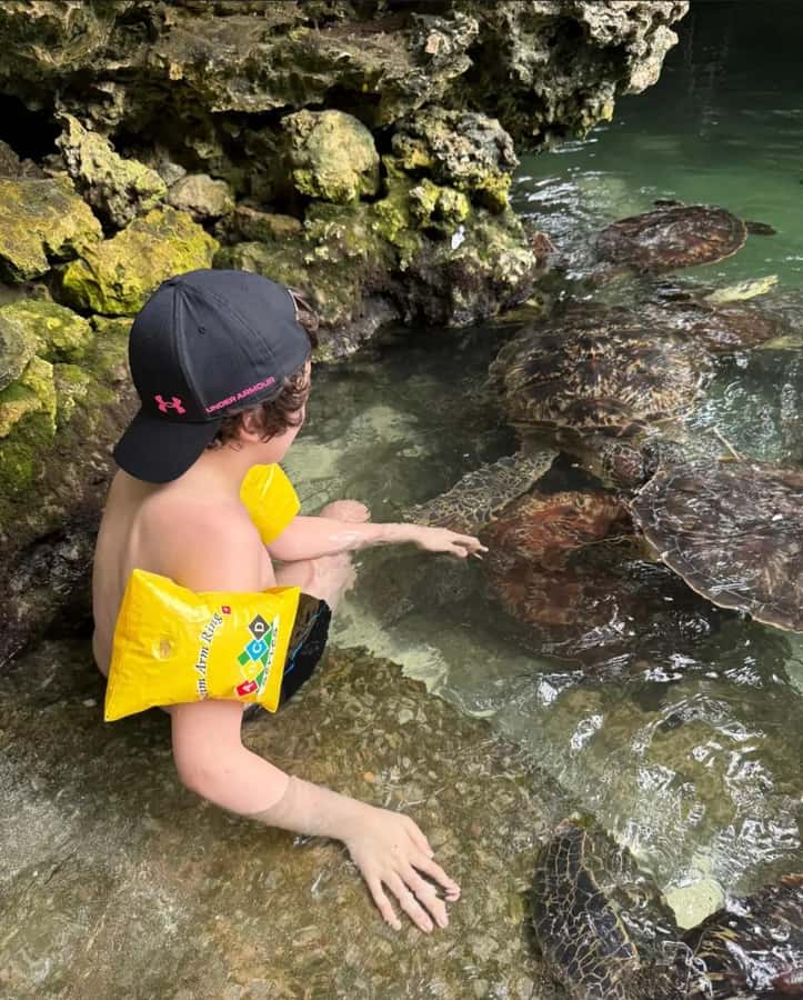 ZANZIBAR: Sea Turtle Swimming & Feeding Experience in NUNGWI - Who will enjoy this most