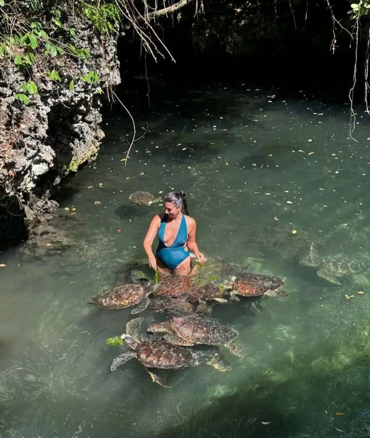 ZANZIBAR: Sea Turtle Swimming & Feeding Experience in NUNGWI - A balanced look at the drawbacks