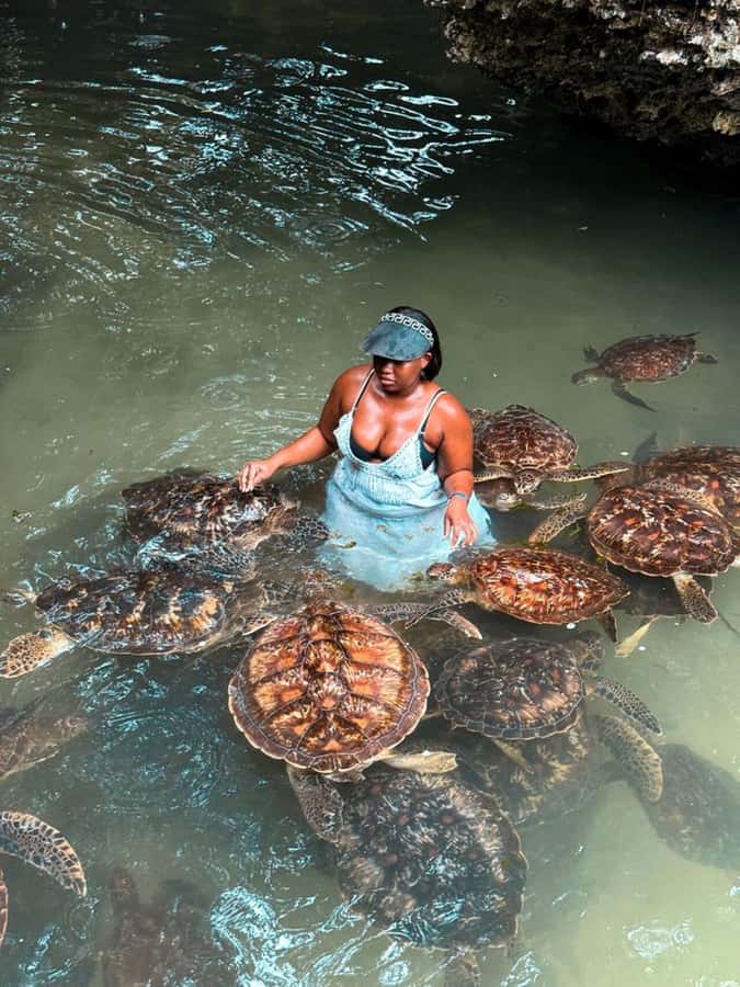ZANZIBAR: Sea Turtle Swimming & Feeding Experience in NUNGWI - Should you book the Nungwi turtle experience?