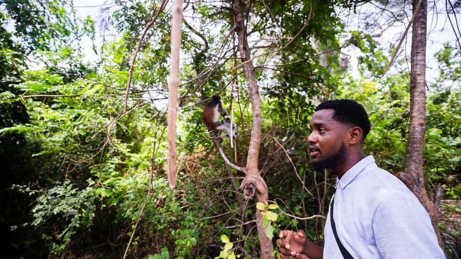 Zanzibar : Secret Beach, Kuza Cave and Jozani with transfer - Secret Beach and the limits of the name