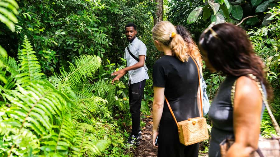 Zanzibar : Secret Beach, Kuza Cave and Jozani with transfer - Should you book Secret Beach, Kuza Cave, and Jozani?