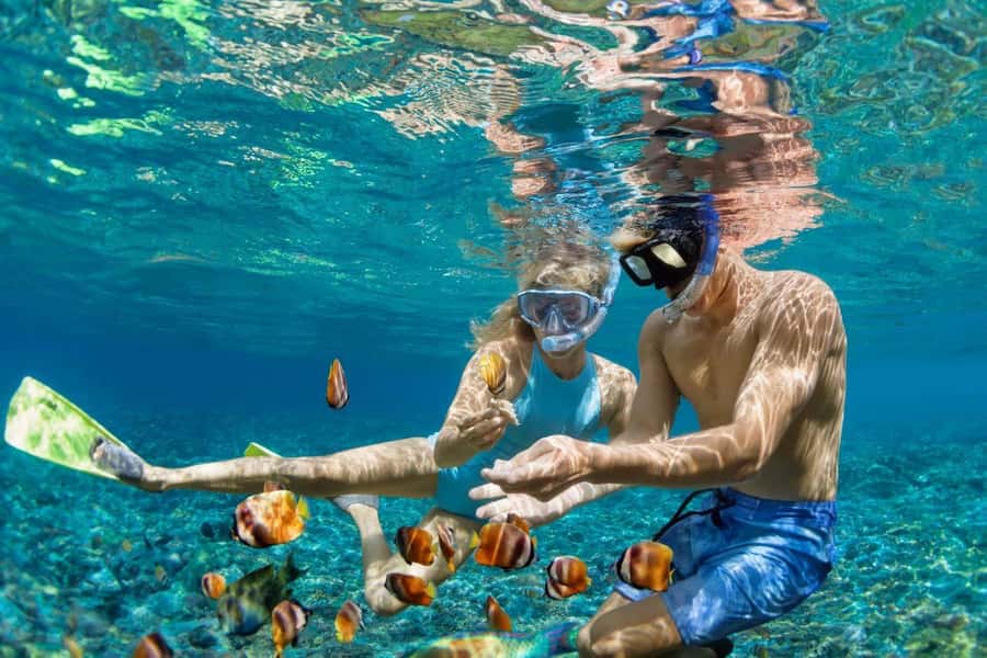 Zanzibar: Snorkeling at blue lagoon & Star fish tour - From your hotel to The Rock Restaurant