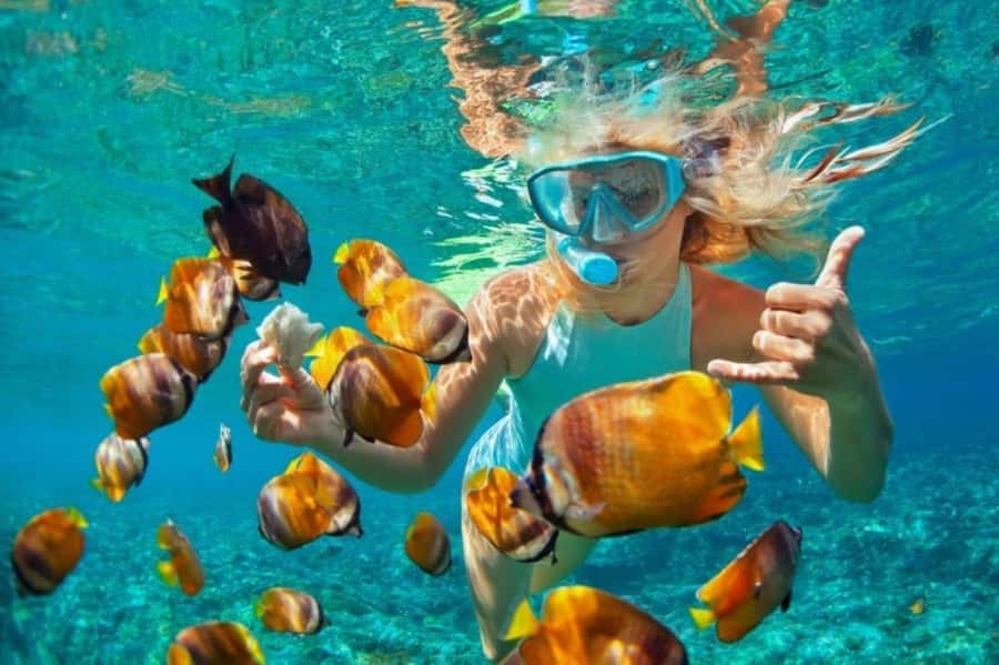 Zanzibar: Snorkeling at blue lagoon & Star fish tour - Blue Lagoon: fish, coral, and time in the water