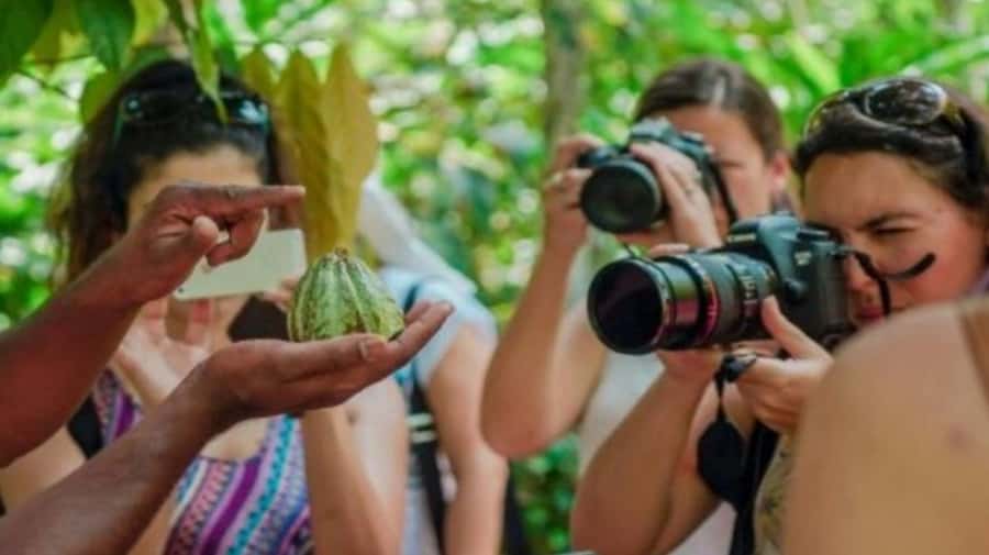 Zanzibar: Spice Farm, Jozani Forest & Sea Turtle Sanctuary - The spice farm brings Zanzibar’s name to life