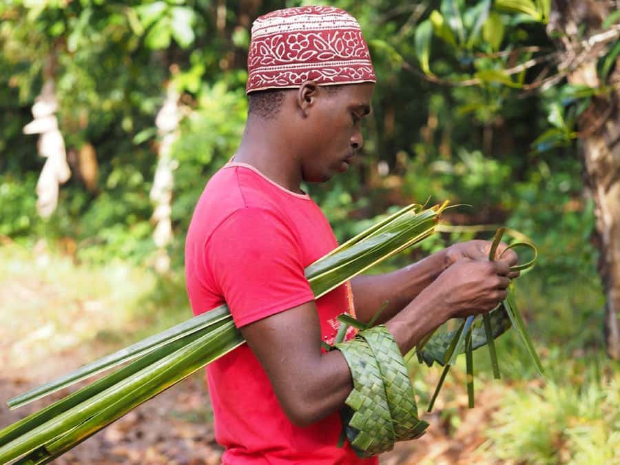 Zanzibar: Spice Farm, Stone Town & Prison Island with Lunch - Price, extra fees, and what you receive