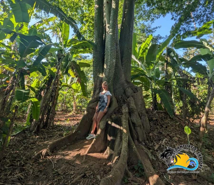 Zanzibar: Spice Farm Tour and Cooking Class with Lunch - Booking details that matter