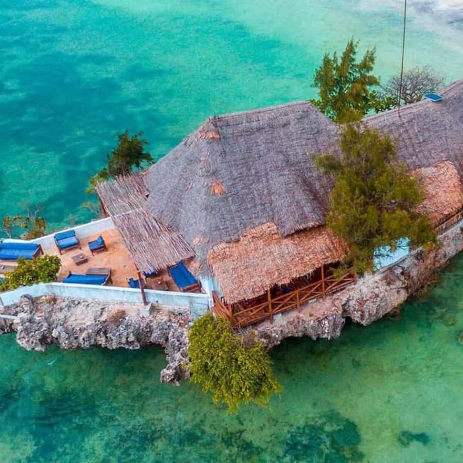 ZANZIBAR: Spice Farm Tour, Jozani Forest & Rock Restaurant - Why this day works so well in Zanzibar