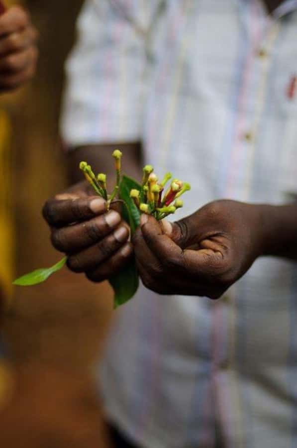 Zanzibar: Spice Farm Tour & Stone Town Adventure - Is $95 good value?