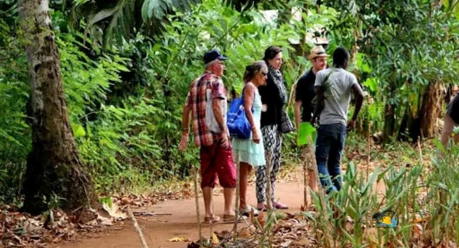 Zanzibar: Spice Farm Tour with Cooking lesson - Key points at a glance