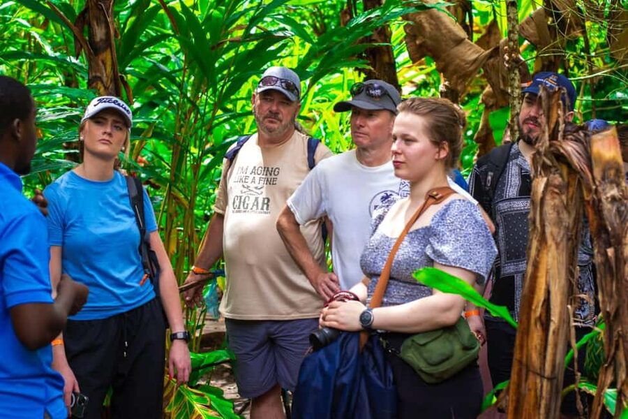 Zanzibar: Spice Farm Tour with Lunch & Tropical Fruits - Tropical fruit makes the tour more than a plant lesson