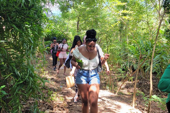 Zanzibar Spice Tour and Lunch Experience - Cinnamon, cardamom, fruit, and the value of seeing ingredients grow