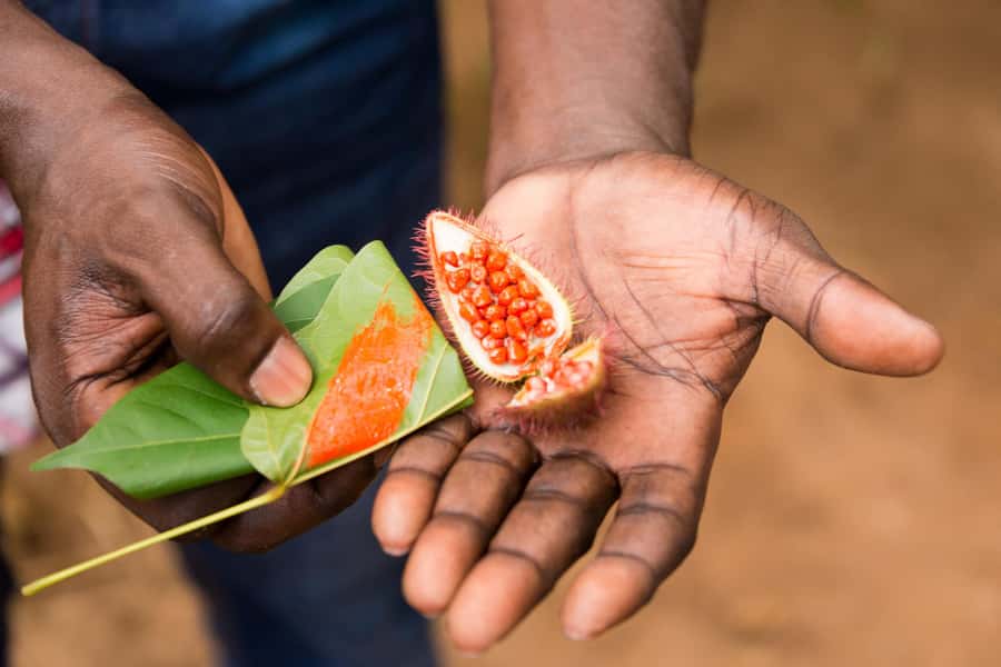 Zanzibar Spice Tour &Cooking Class with Lunch Pickup Include - The 9:30 a.m. Pickup and Drive to Kizimbani