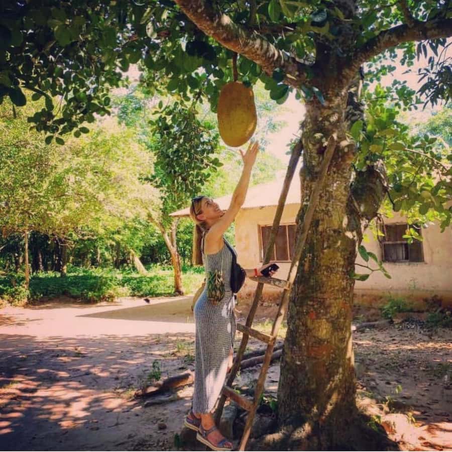 Zanzibar Spice Tour &Cooking Class with Lunch Pickup Include - Lunch With Local Zanzibar Dishes