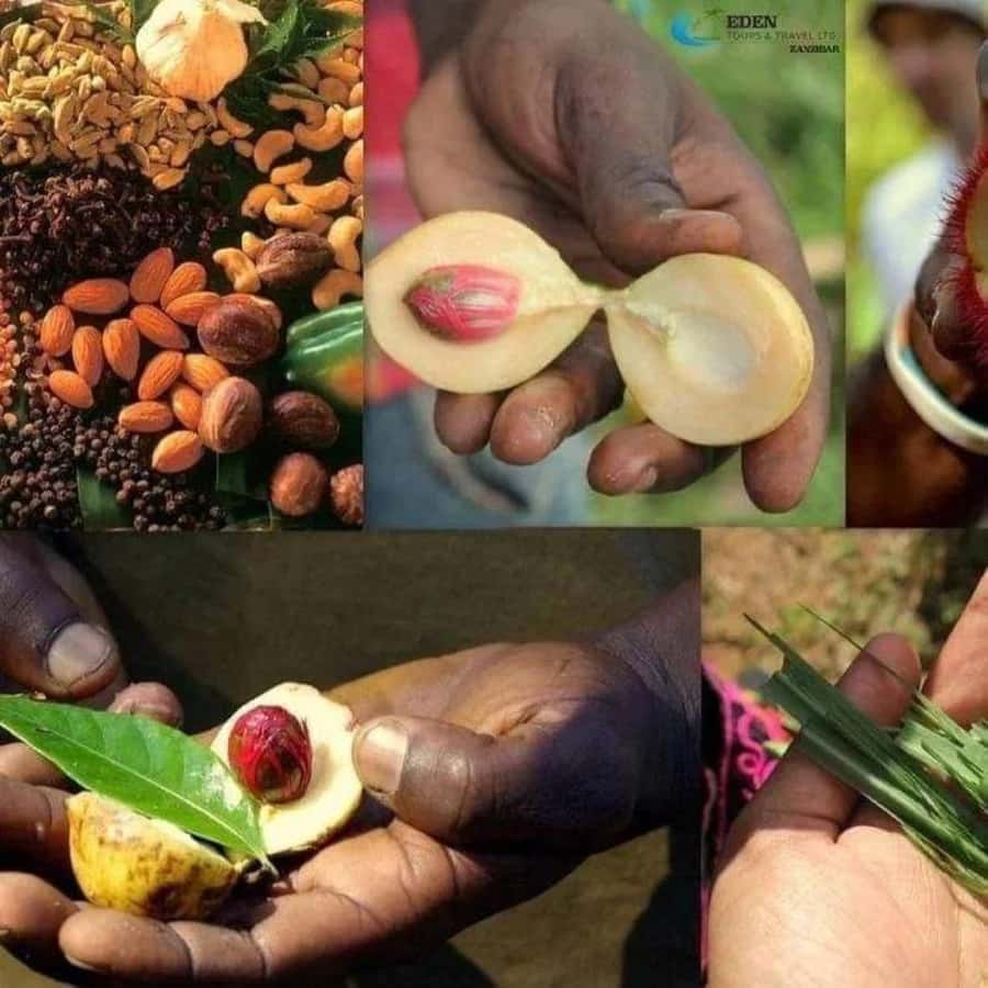 Zanzibar: Spice Tour & Stone Town Walking Tour - The practical truth about buying spices
