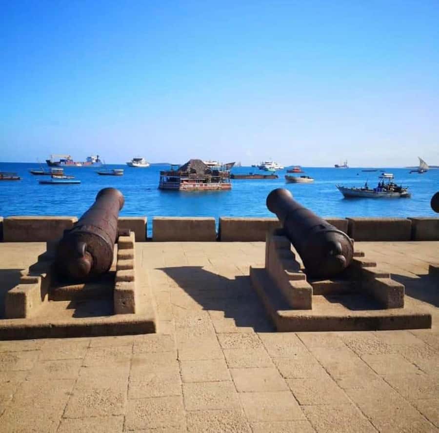 Zanzibar: Spice Tour & Stone Town Walking Tour - Darajani Fish Market and everyday Stone Town