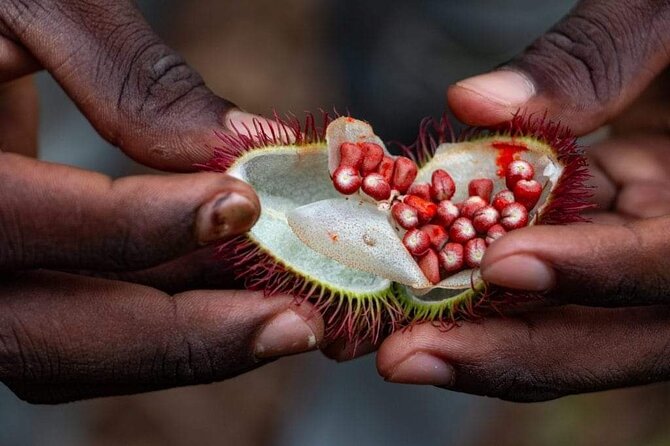 Zanzibar Spice Tour - Walking through Kidichi’s working farm