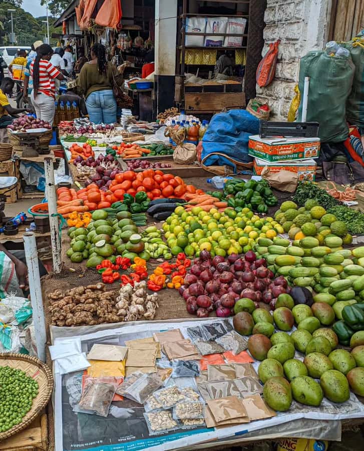 Zanzibar: Stone Town and Prison Island Private with Lunch - Key points to know before booking