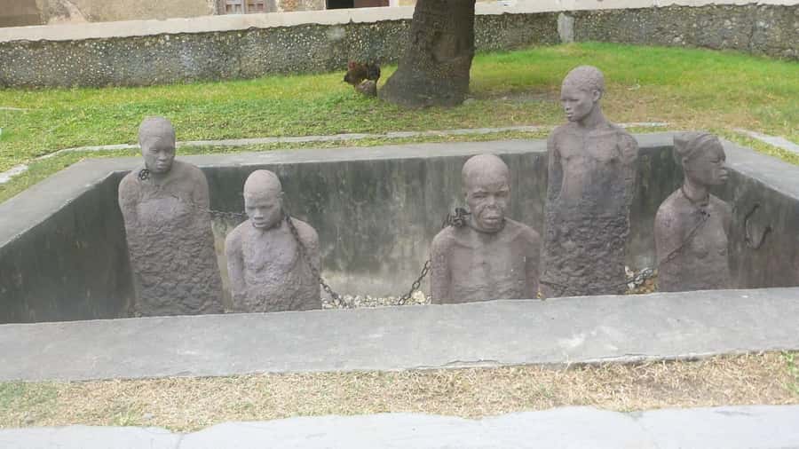 Zanzibar: Stone Town City Tour and Spice Farm with Lunch - From cloves to coconut milk at the spice farm