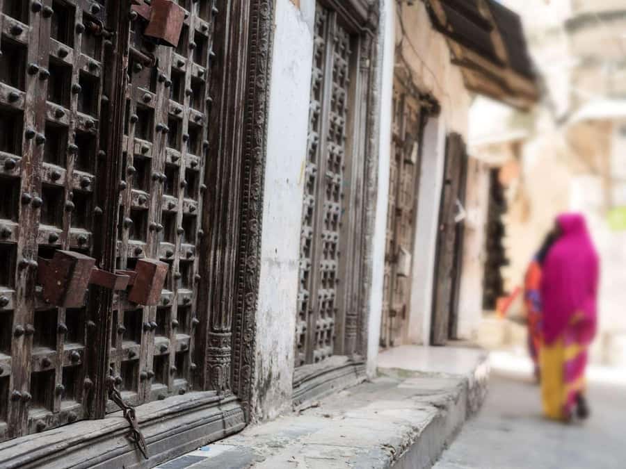 Zanzibar: Stone Town City Tour and Spice Farm with Lunch - Who will enjoy this Zanzibar tour