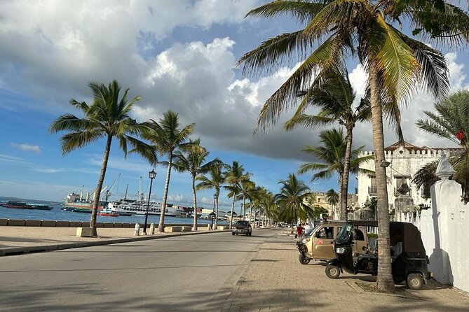 Zanzibar Stone Town Highlight walking tour - What the short duration really means